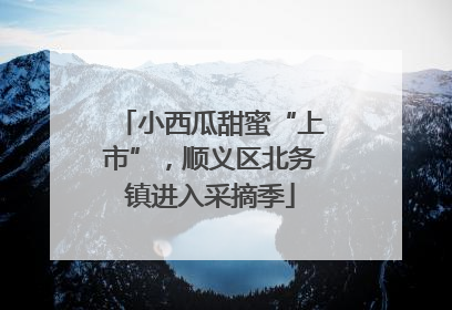 小西瓜甜蜜“上市”，顺义区北务镇进入采摘季